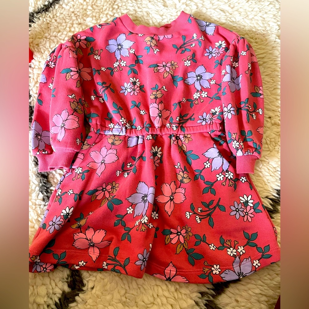 Peek Sweatshirt Dress